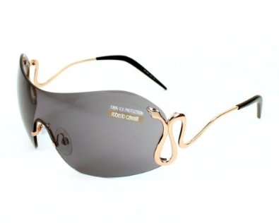 lunettes roberto cavalli homme 4