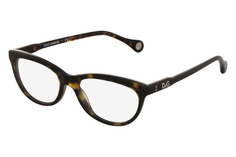 lunettes dolce et gabbana 1