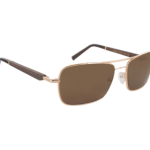 lunettes gold et wood homme 9
