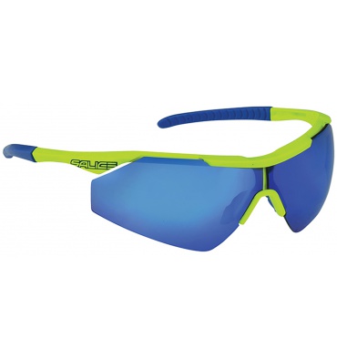 lunettes salice femme 2