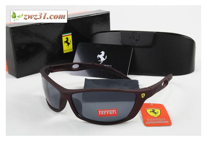 lunettes ferrari femme 9