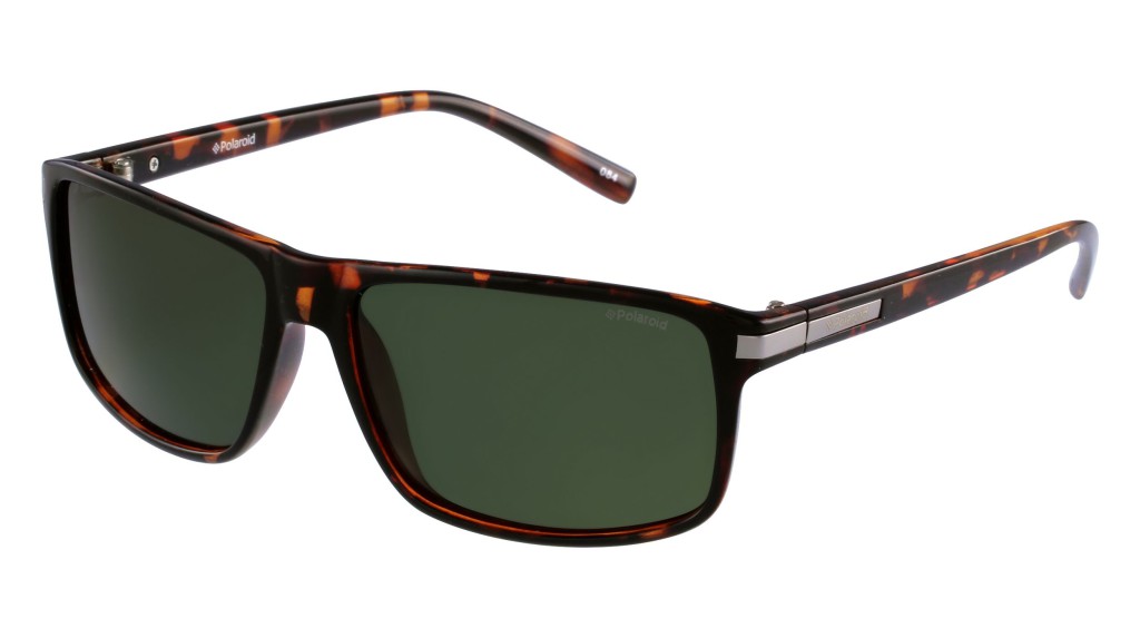 lunettes polaroid homme 1