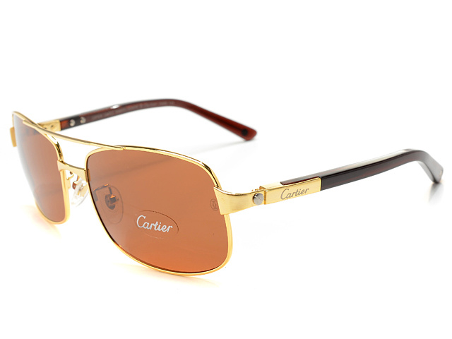 lunettes cartier homme 1