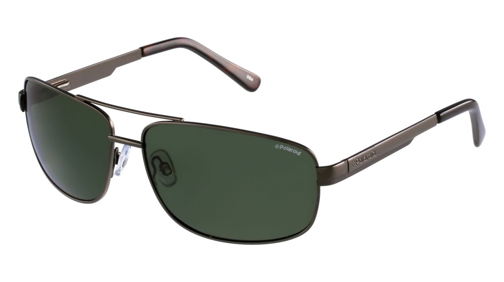 lunettes polaroid homme 1