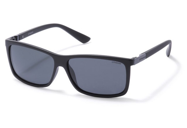 lunettes polaroid homme 2