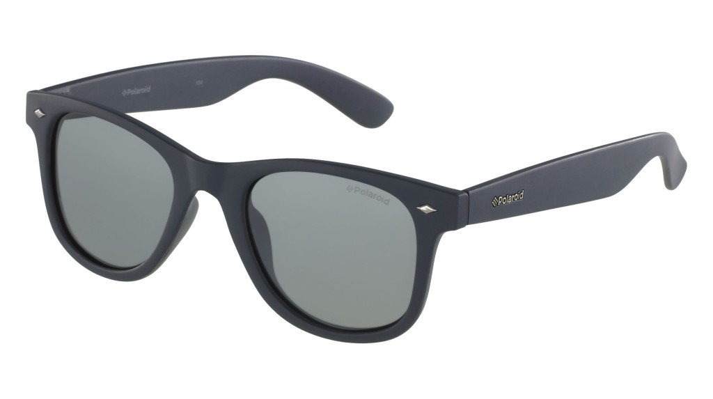 lunettes polaroid homme 1